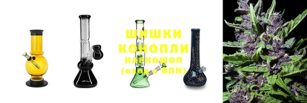 сатива Армянск