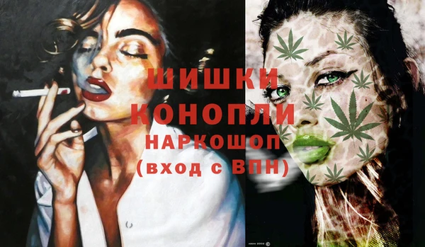 сатива Армянск