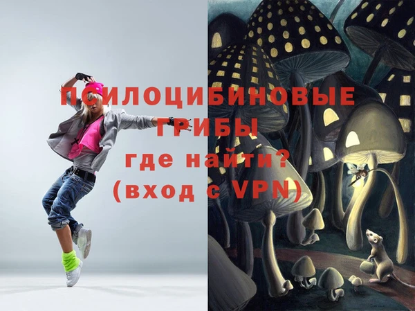 a pvp Аркадак