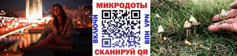Галлюциногенные грибы ЛСД  что такое   Полярные Зори 